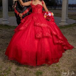 Quinceañera dress 