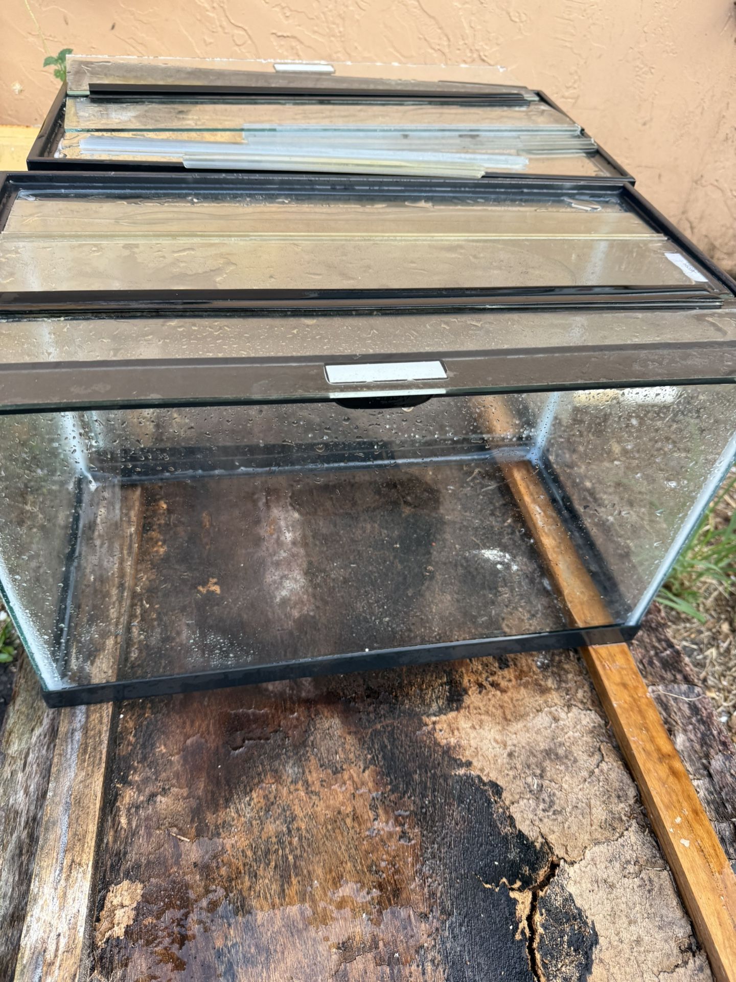 Fish Tank 10 Gallon