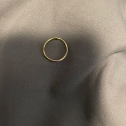 Gold Hinge Nose Ring