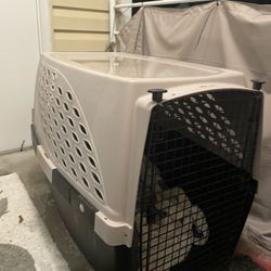 large dog kennel