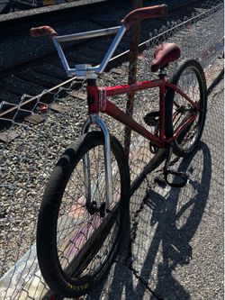 Throne 29er