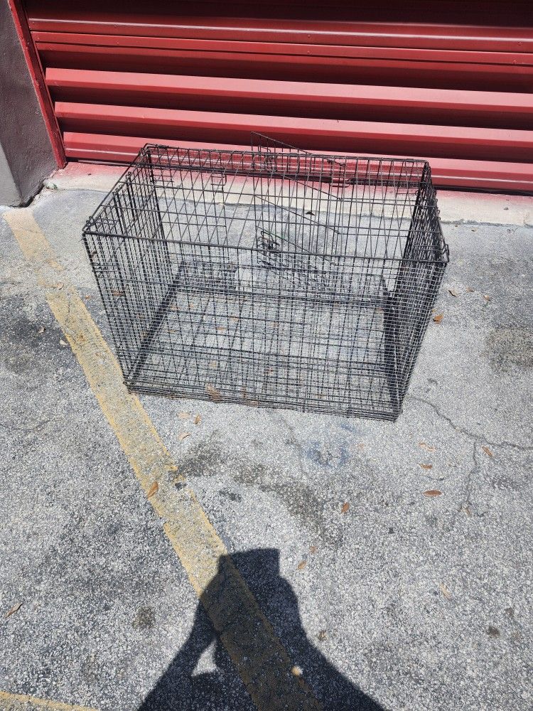 Dog Kennel