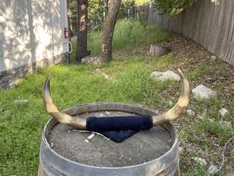 Rustic Longhorn Wall Décor – Western Style