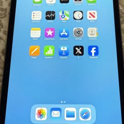 iPad Mini WiFi + Cell 