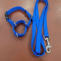 Dog Leash & Collar