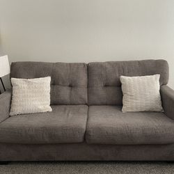 Couch/Sofa 