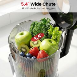 Laudlife cold press juicer machine