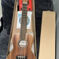 Ukulele 