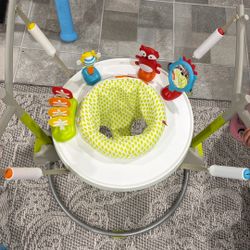 Skip Hop Bouncer 