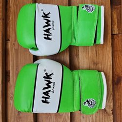 Hawk Boxing Gloves