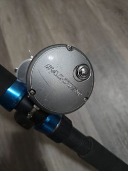fishing rod / reel combo