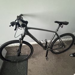 Trek Dual Sport 4
