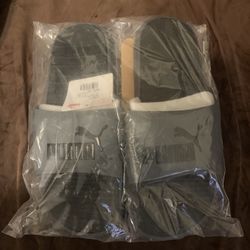 Puma Slides