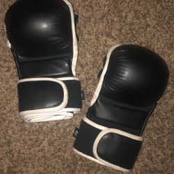 Elite Sparring Gloves 