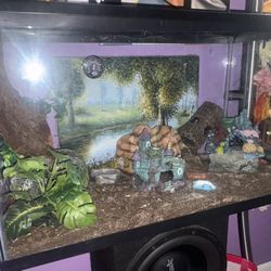 Reptile Tank / Fish Tank And Supplies