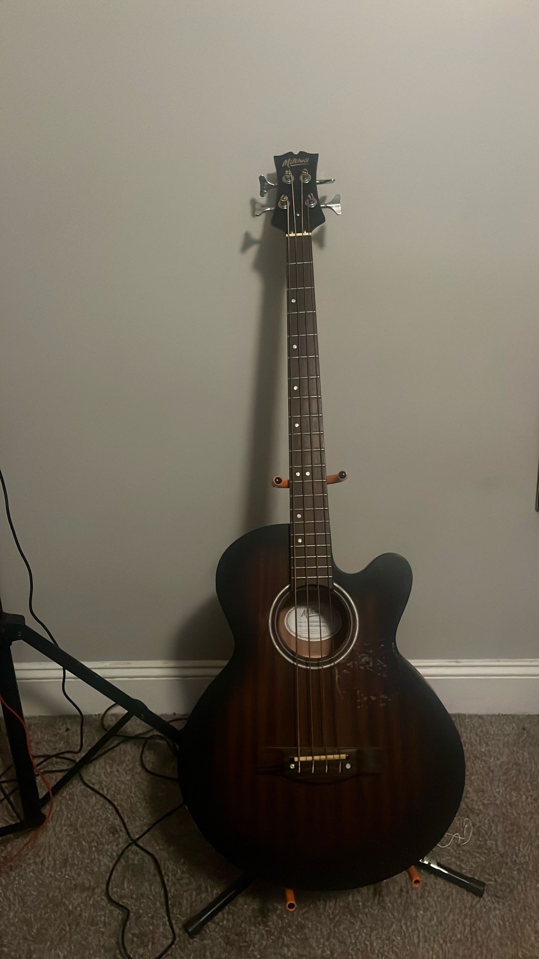 Bass guitar (acoustic 