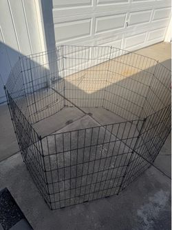 Free Pet Pin