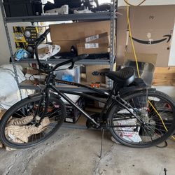 Schwin Beach Cruiser