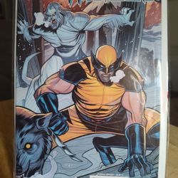 Wolverine #4, Vol. 8
