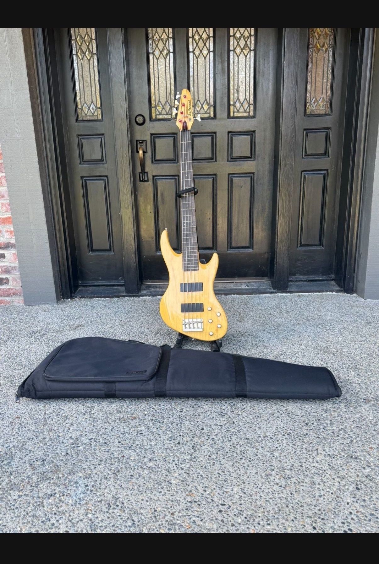 DEARMOND PILOT PRO V  And Soft Case Guitar 