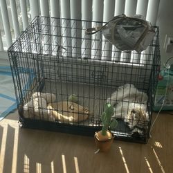 Dog Cage 