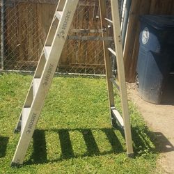 6ft Werner Ladder