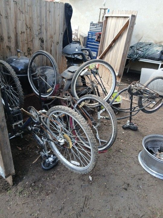 26" Beach Cruisers And 26" Mountains Bikes