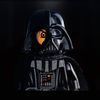 Darthbricks 