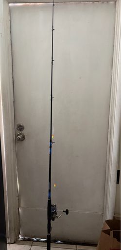 Diawa fishing rod