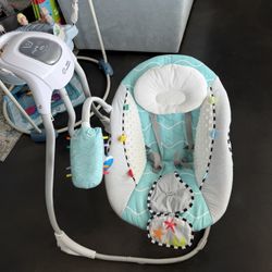Baby Einstein Swing 