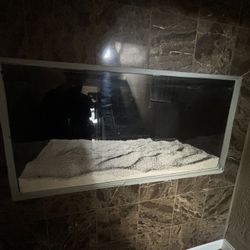 Fish Tank 