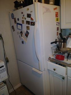 Best refrigerator deal of the year