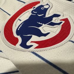Limited Edition Cubs Jersey
