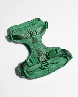 Dog Harness - Wild One