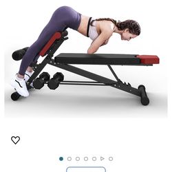 Finer Form Multi-Functional Gym Bench for Full All-in-One Body Workout - Versatile Fitness Equipment for Hyper Back Extension, Roman Chair, Adjustable