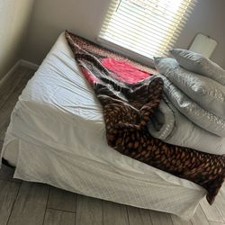 Bed $200.  Comes With Box Spring. Metal Frame And Matress Delivery Available 