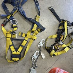 Harness 
