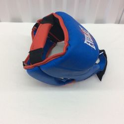 Everlast Boxing Training Equipment (Headgear Boxing Training Mitts)