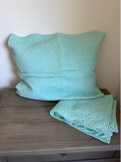 Brand new cotton Euro shams a pair