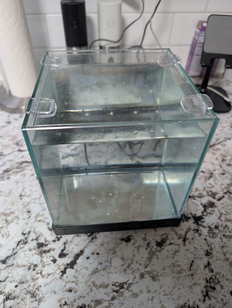 1 Gallon Beta fish tank