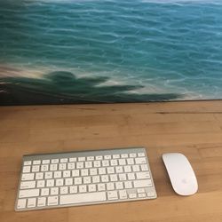 Like New 👍🏼 Apple wireless Magic mouse + Wireless keyboard - Model Numbers In Pics * Must Come To Huntington Beach