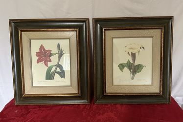 2 vintage botanical print art and frame $40 each