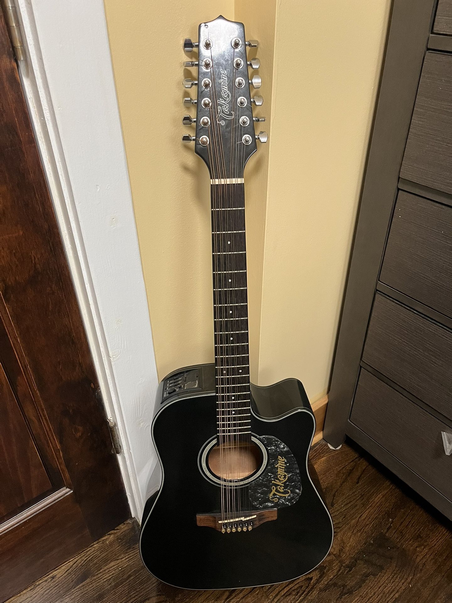 Takamine 12 String Guitar 