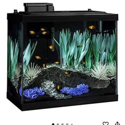 Brand New Fish Tank 