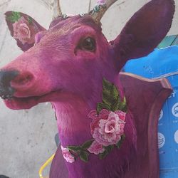 Pink Deer Art