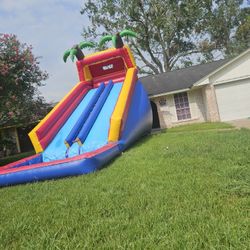 20ft Double Lane Water Slide 