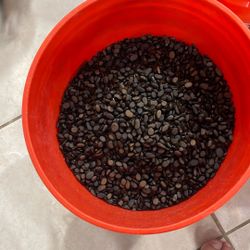 Black River Rock Fish Tank