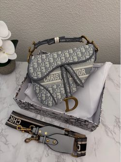 Dior Saddle Bag with Strap in Gray