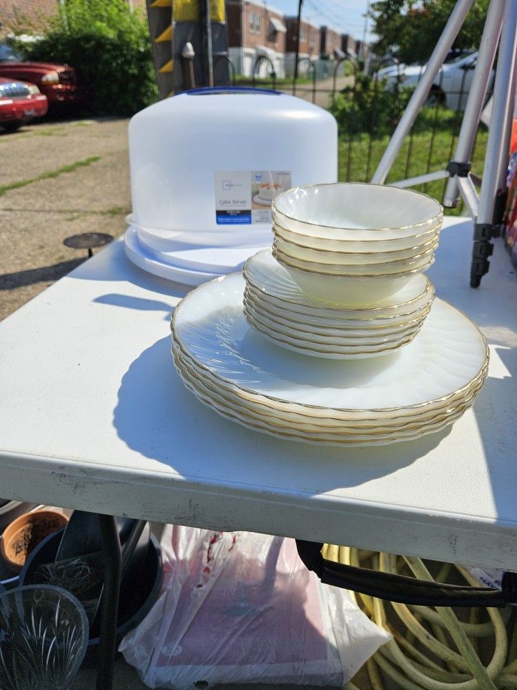 Glass Plates and Plastic Cake Tote