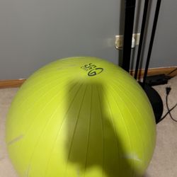 Exercise Ball